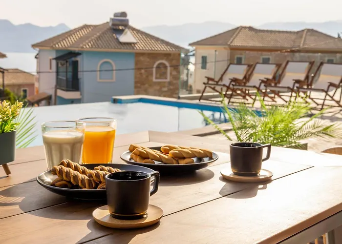 Daire The Bee Nikiana